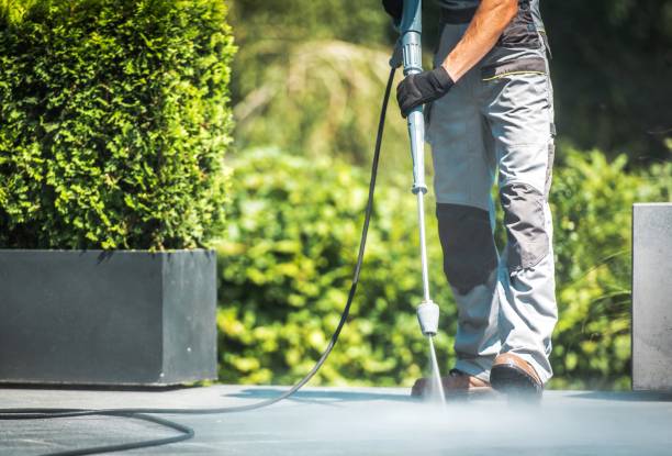 Best Dumpster Area Cleaning  in West Springfield, VA