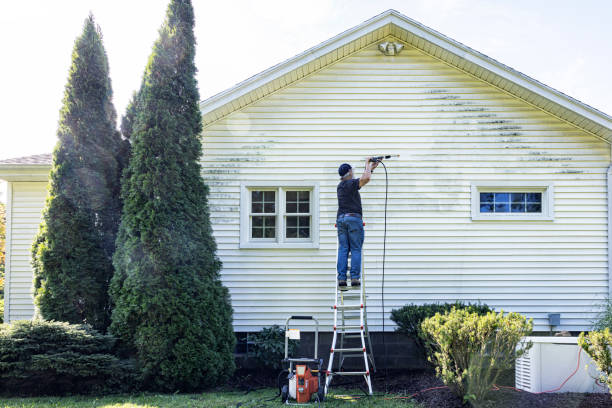 Best Fence Cleaning  in West Springfield, VA